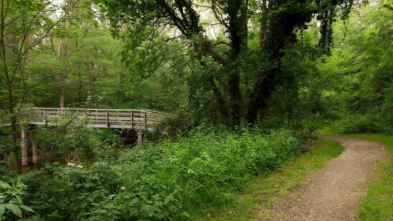 Fewo Grafschaft Nordhorn Exteriér fotografie
